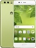P10 P10