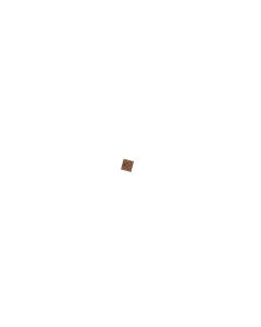 Official Samsung Galaxy S21 FE, Z Fold 3 5G Battery IC - 1203-009551