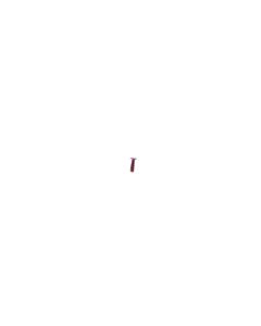 Official Sony Xperia 1 II, Xperia 5 III M1.2X3.7 Screw - 501321301