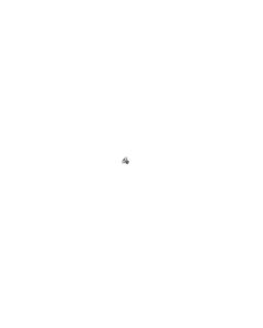 Official Google Pixel 7a M1.2 Torx Black Screw - G250-06554-00