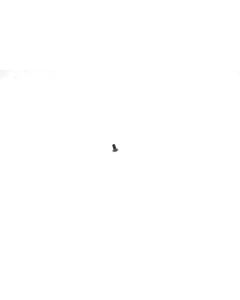 Official Huawei P Smart 2020 POT-LX1A 1.4mm x 2.5mm x 2.5mm x 0.5mm Black Screw - 51620751