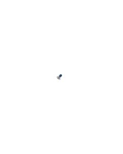 Official Samsung Galaxy Z Flip 3 5G Screw - 6001-003369