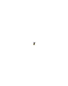 Official Samsung Galaxy Z Fold 2 5G SM-F916 Screw - 6001-003405