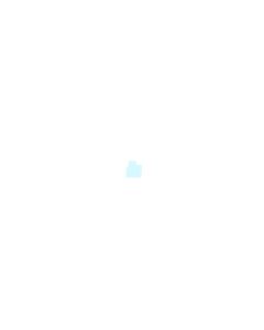 Genuine Google Pixel G-2PW4200 Speaker FPC Adhesive - 76H0D685-00M