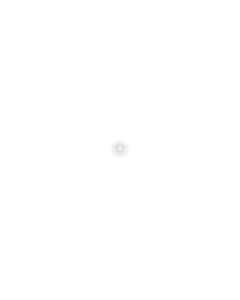 Official Samsung Galaxy Buds 2 SM-R177 White Medium Ear Tip - GH67-05083A