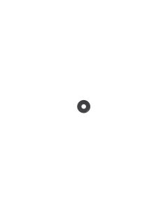 Official Samsung Tab A8 10.5 WiFi / LTE Camera Lens - GH81-21954A